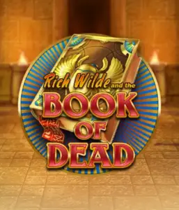 Enter the thrilling world of Book of Dead by Play'n GO, featuring vivid graphics of Rich Wilde's journey through ancient Egyptian tombs and artifacts. Discover lost riches with engaging mechanics like free spins, expanding symbols, and a gamble option. Ideal for those seeking adventure with a desire for exciting finds.